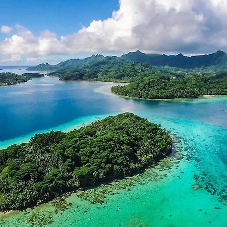 B & Bee Wild Island - Nature Song Fare Exterior foto