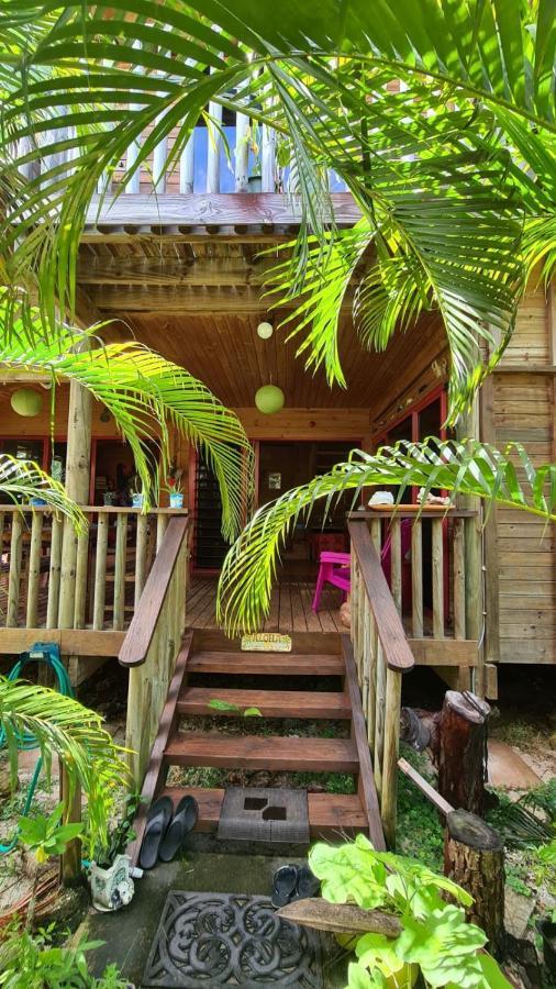 B & Bee Wild Island - Nature Song Fare Exterior foto