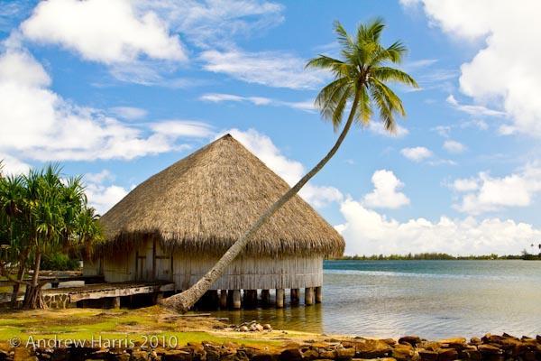 B & Bee Wild Island - Nature Song Fare Exterior foto