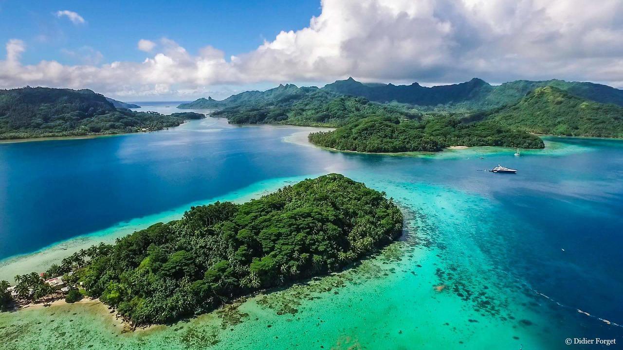 B & Bee Wild Island - Nature Song Fare Exterior foto