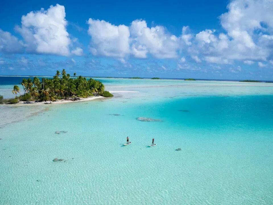 B & Bee Wild Island - Nature Song Fare Exterior foto